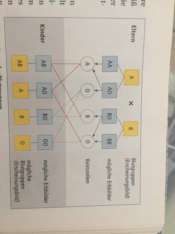 Biologie Blutgruppen Ab U 0 Schule Mathematik Blut Biologie Blutgruppen Ab U 0 Schule Mathematik Blut