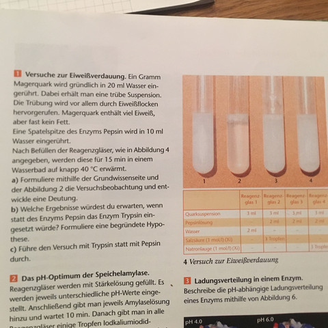 Die 1 Aufgabe :) - (Chemie, Biologie)