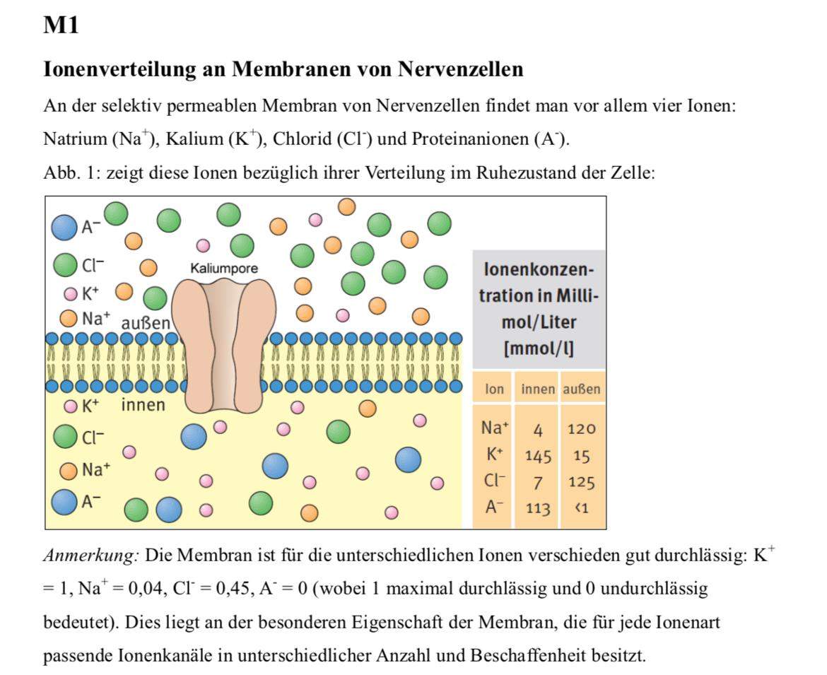 Biologie Diffusion? (Menschen, Bio, Genetik)