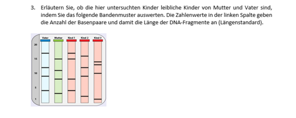 Biologie Hausaufgabe Hilfe Dna Agarosegel Schule Genetik