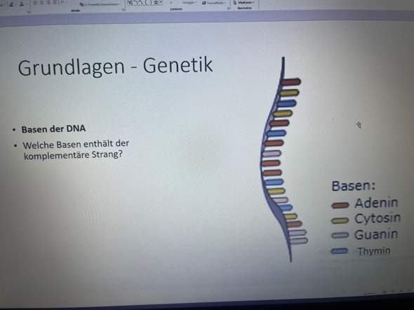 Biologie hilfe genetik?