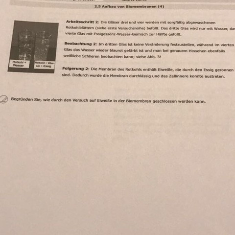 Wer kann mir helfen bitte? - (Schule, Aufgabe, Bio)