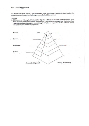 Nahrungspyramide, Fragestellung - (Biologie, Rechnung, nahrungspyramide)