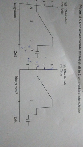 flavour - (Schule, Biologie, Wissenschaft)