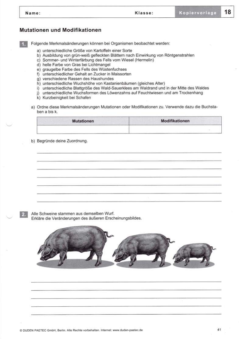 Biologie Mutation oder Modifikation? (Schule, Hausaufgaben) - 0 Full Biologie Mutation oder Modifikation? (Schule, Hausaufgaben) - 0 Full