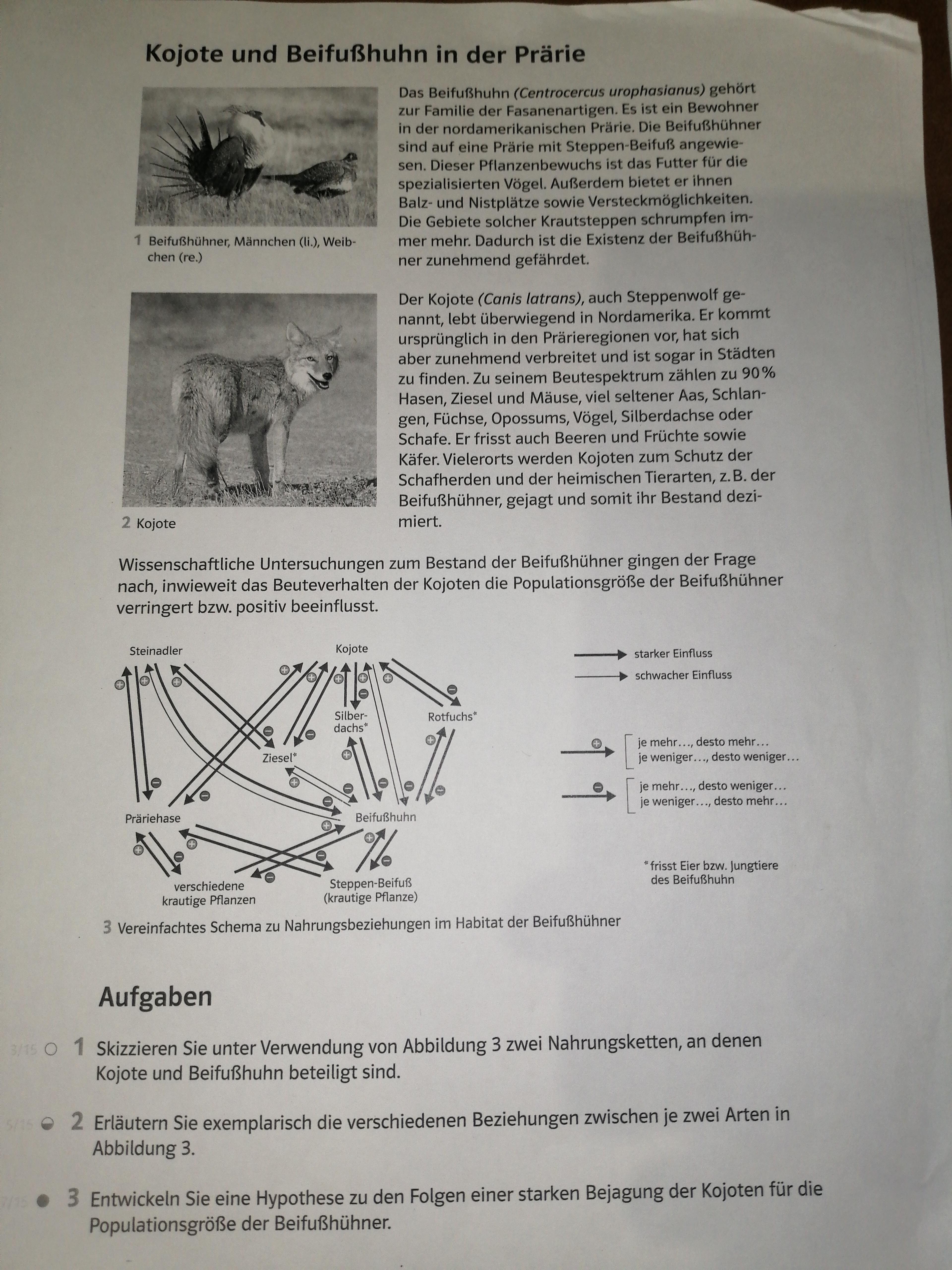 Biologie Nahrungskette Artbeziehungen Schule Ausbildung Und Studium Studium