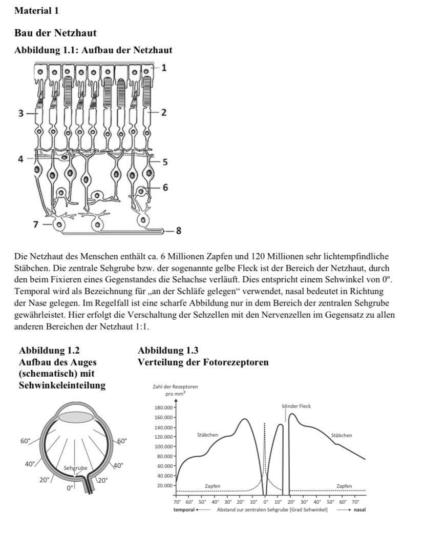 Biologie Netzhaut Auge? (Augen, Bio, sehen)