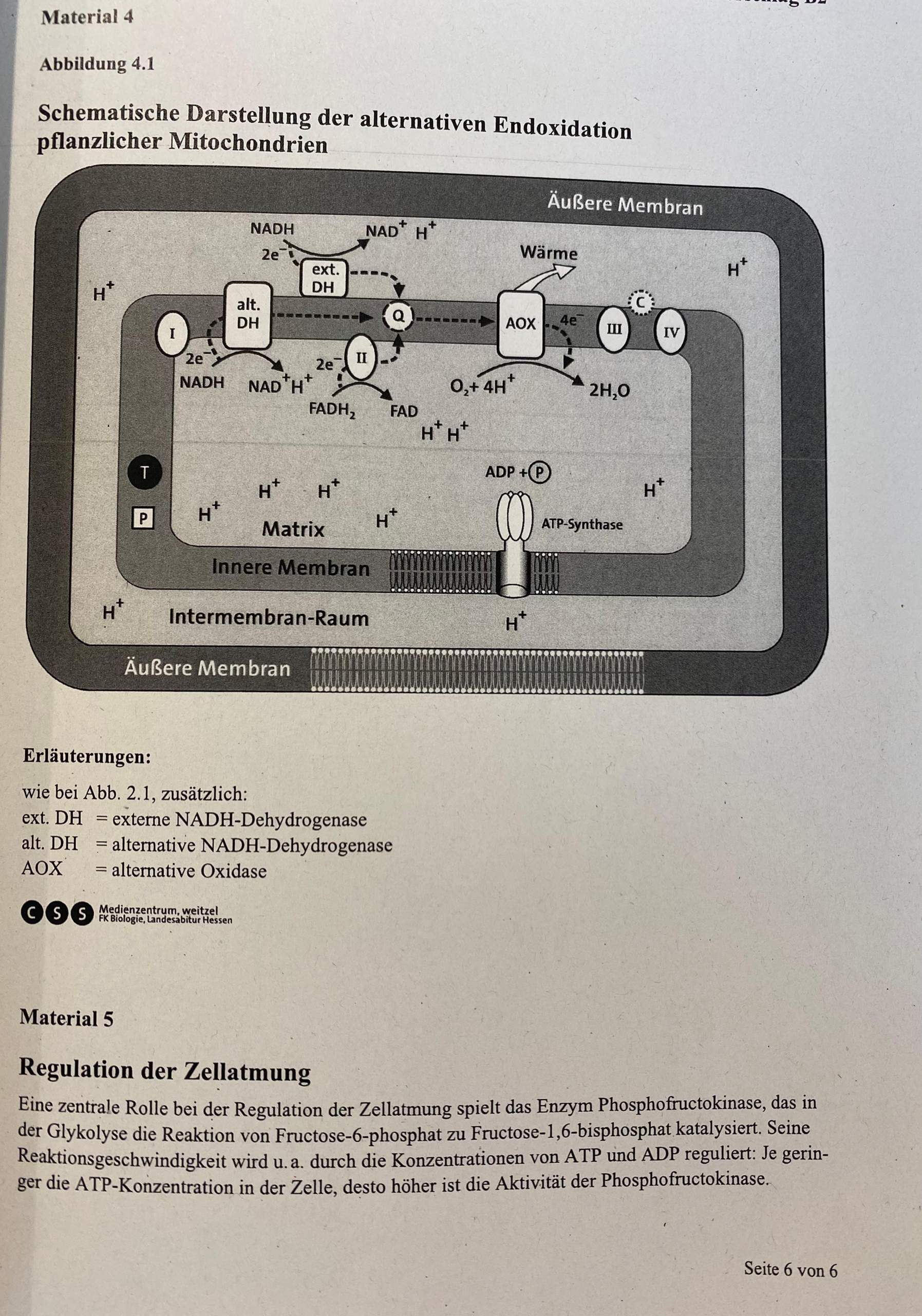 Biologie Ökologie? (Menschen, Tiere, Pflanzen)