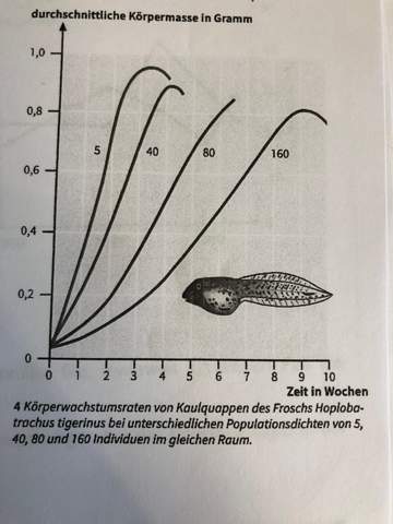 Biologie Okologie Evolution Kaulquappen Population