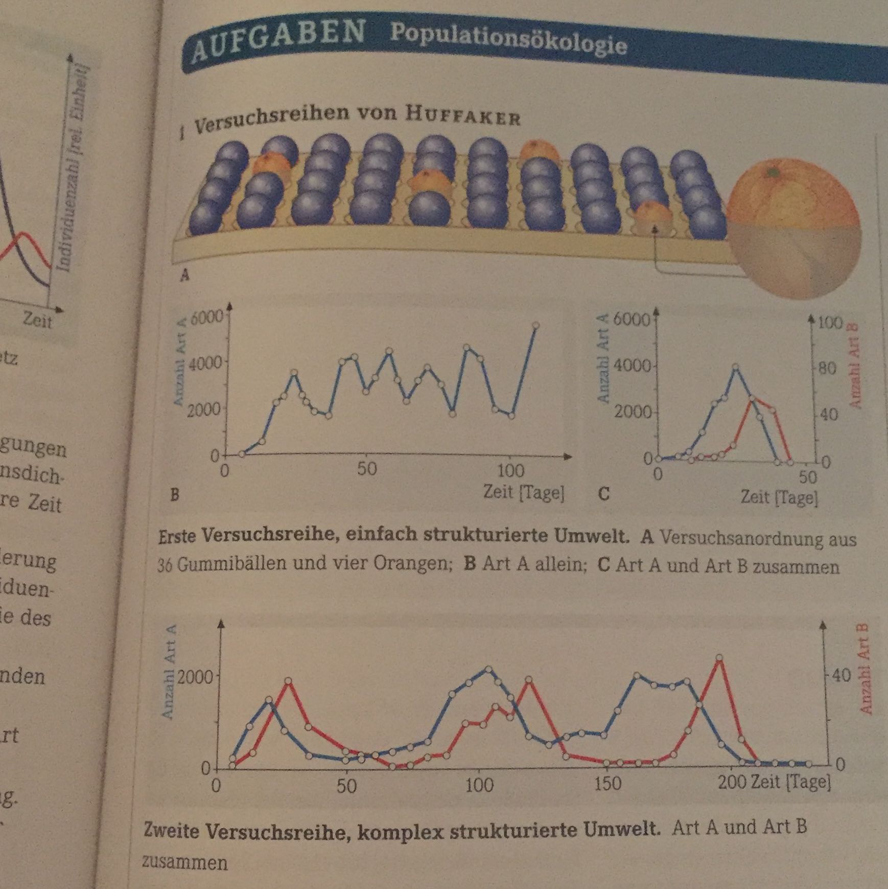 Biologie Populationsökologie Milben? (Schule, Natur, Bio)