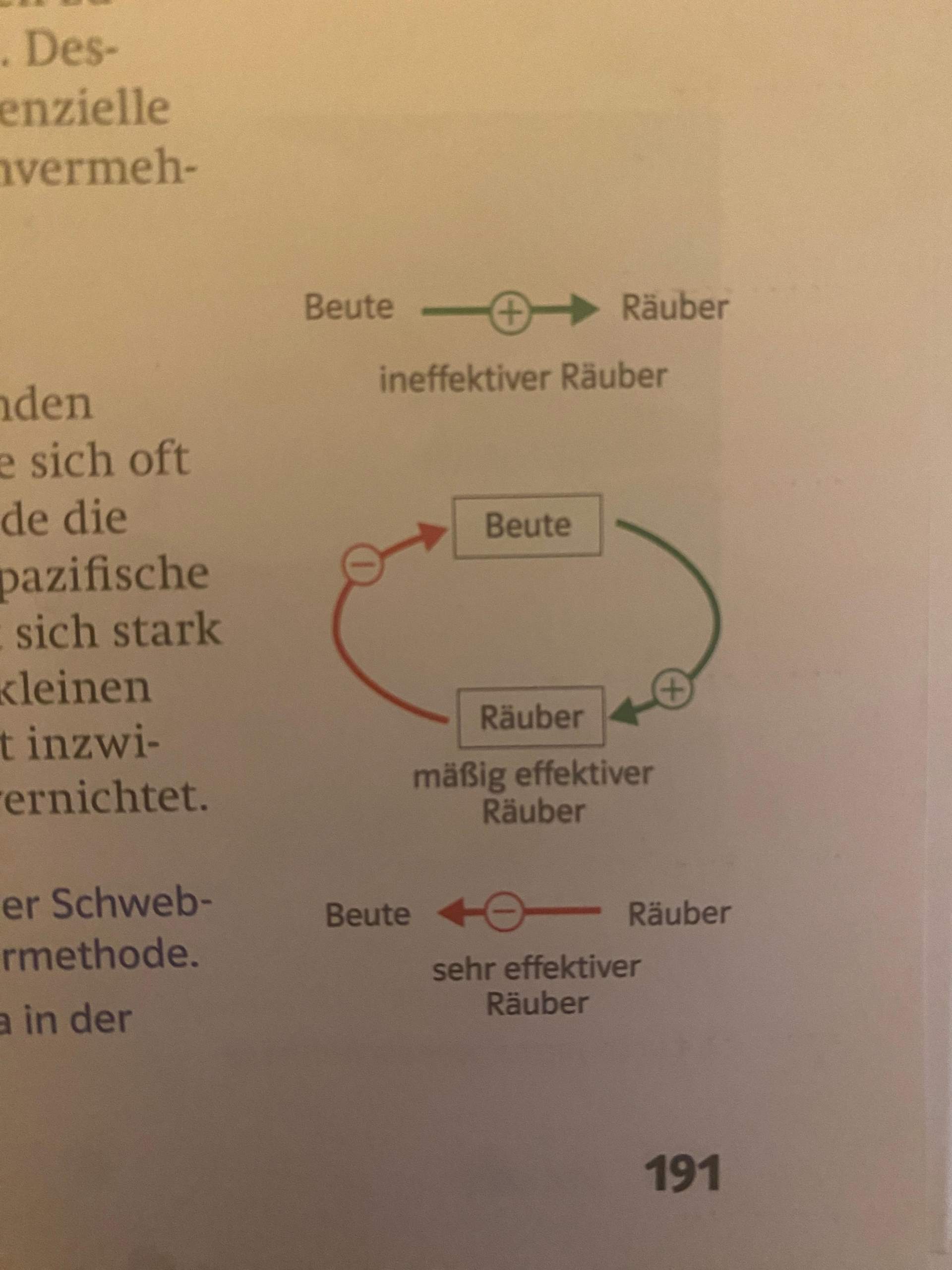 Biologie: Raub- und Beutetiere? (Ökologie, Raubtiere)