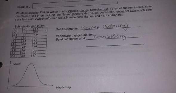 - (Schule, Biologie)