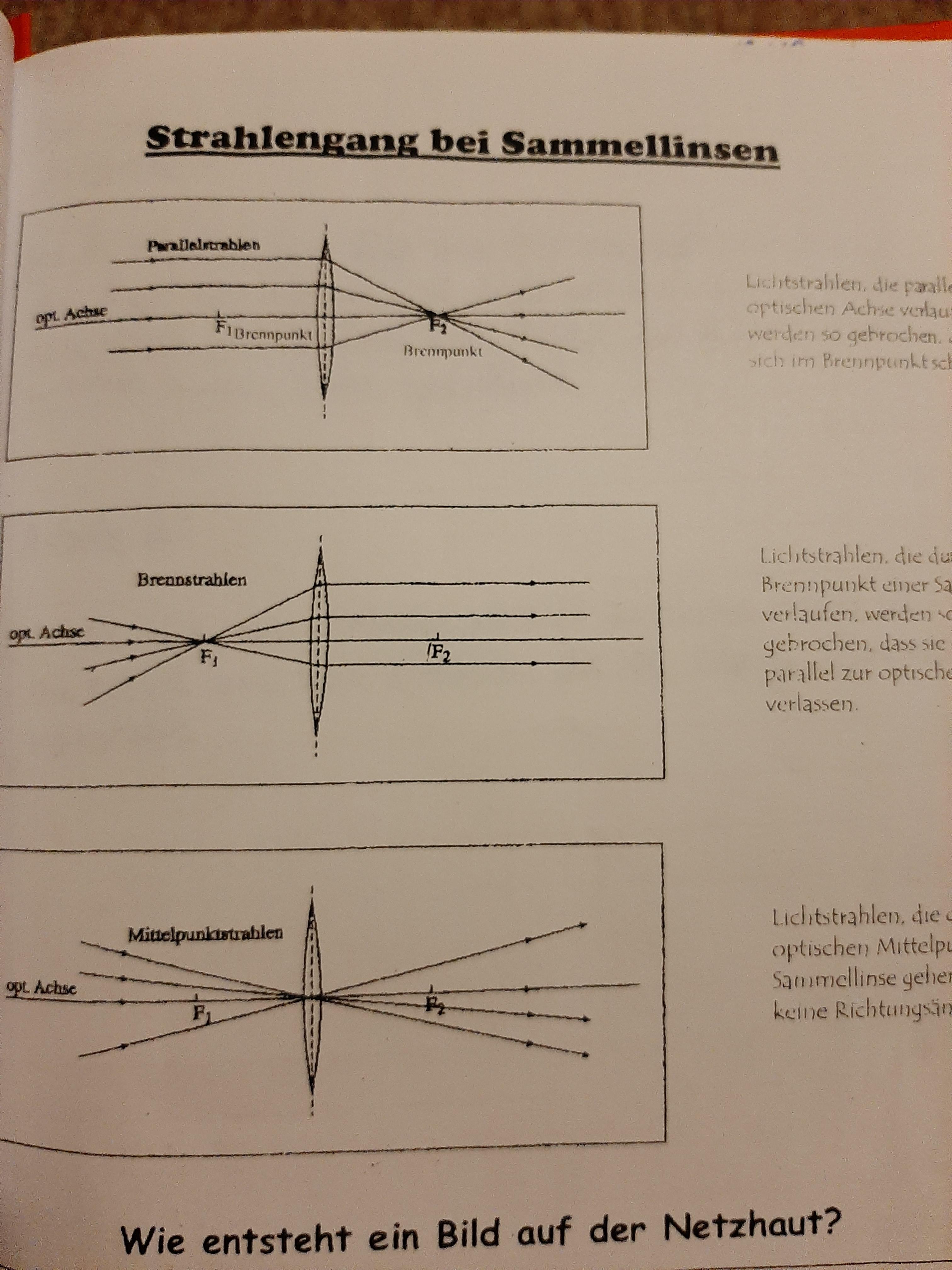 Biologie strahlengang AUGE? (Schule, Deutsch, Menschen)