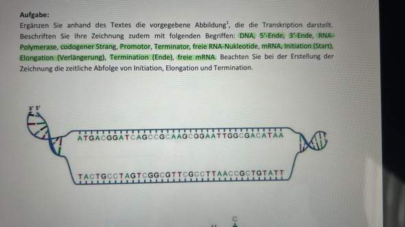 Bild zum Beitrag