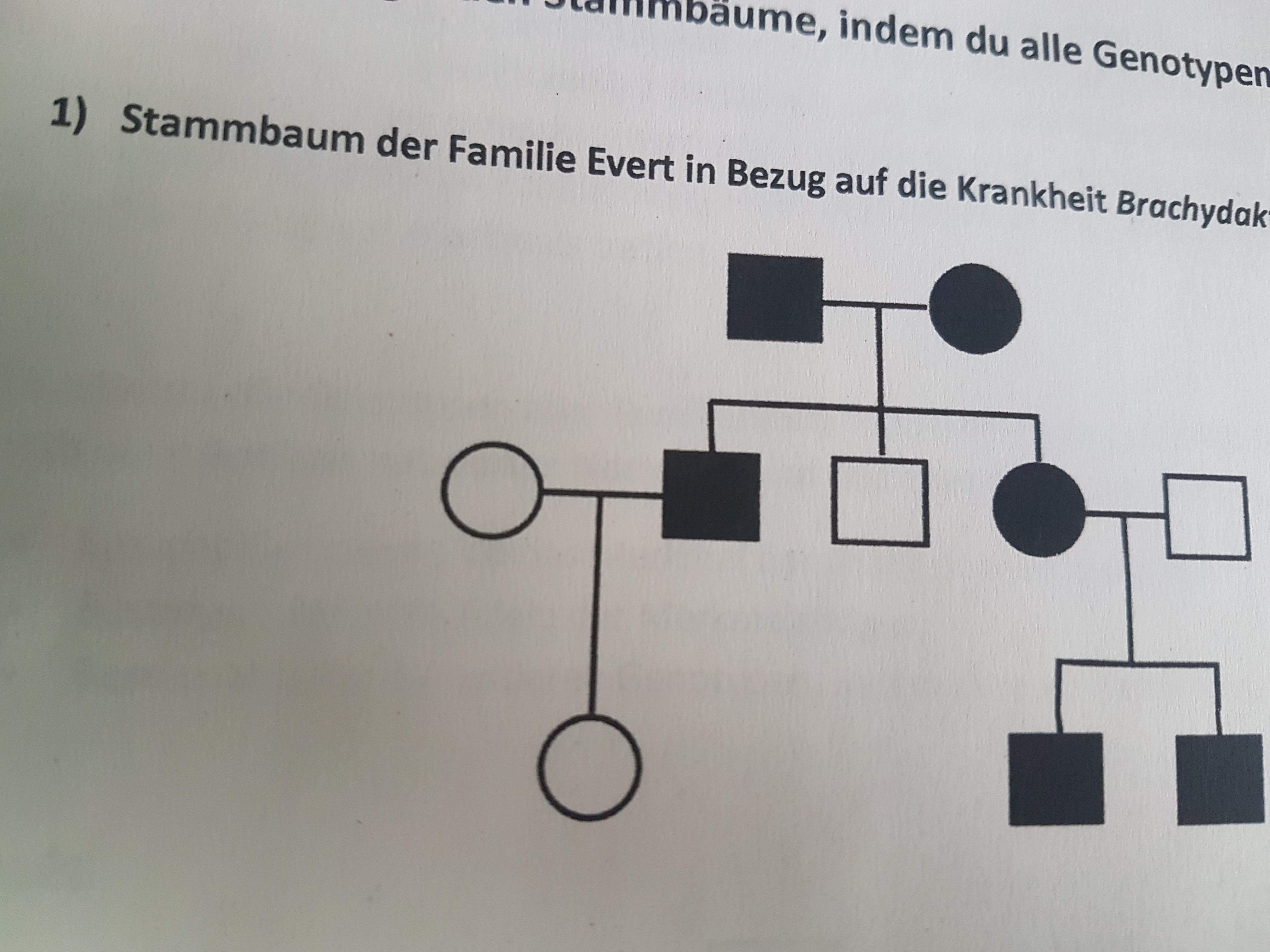 Biologie Vererbung Beim Menschen Schule Realschule