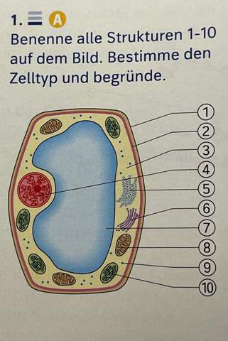 Biologie Zelle?
