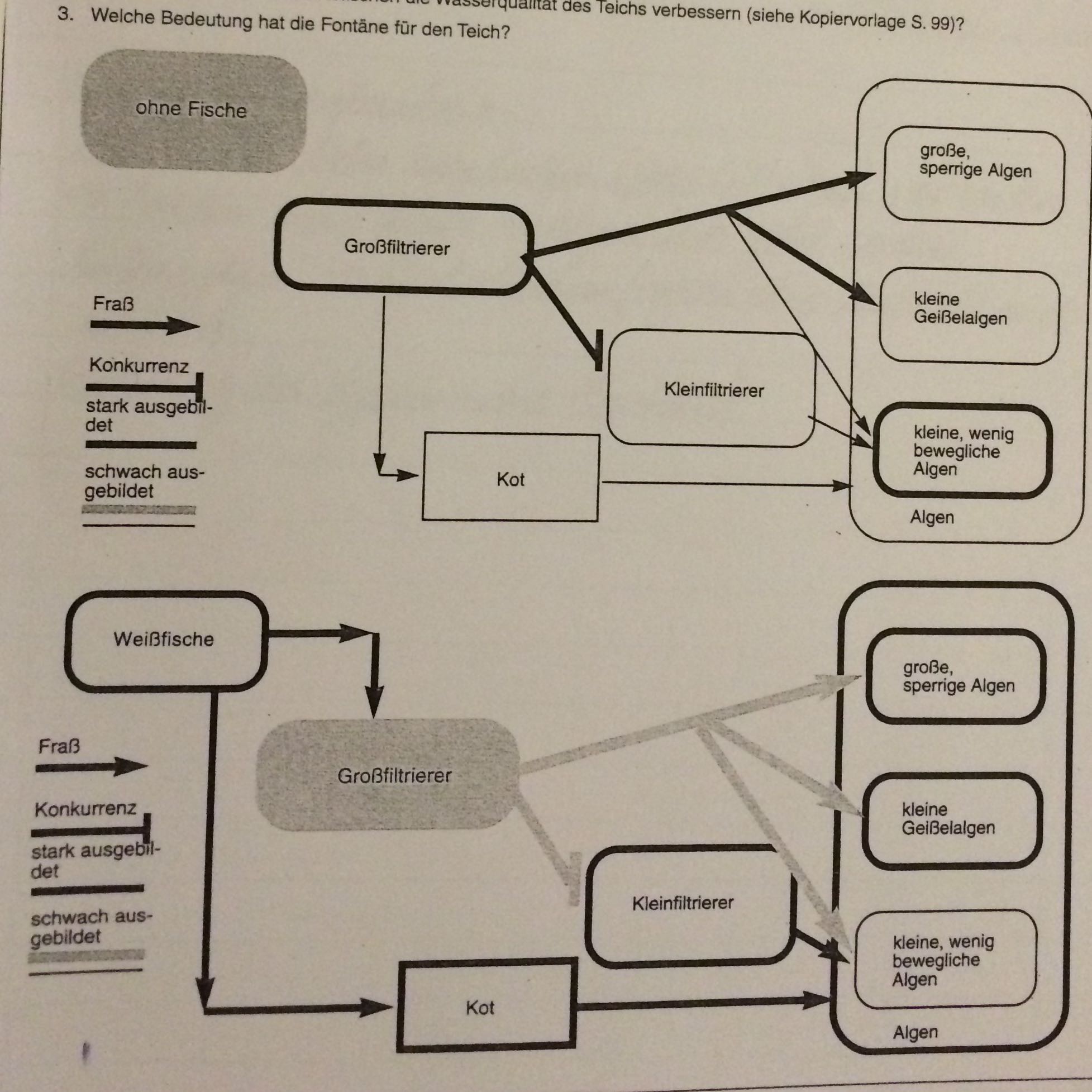 Biotische und abiotische Faktoren in See? (Biologie, abiotische