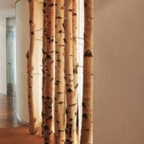 Raumteiler Birken - (wohnen, Möbel, Baum)