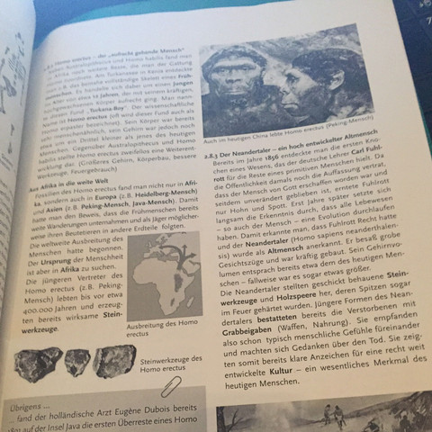 Bild 3 - (Affen, Evolution und Welt)