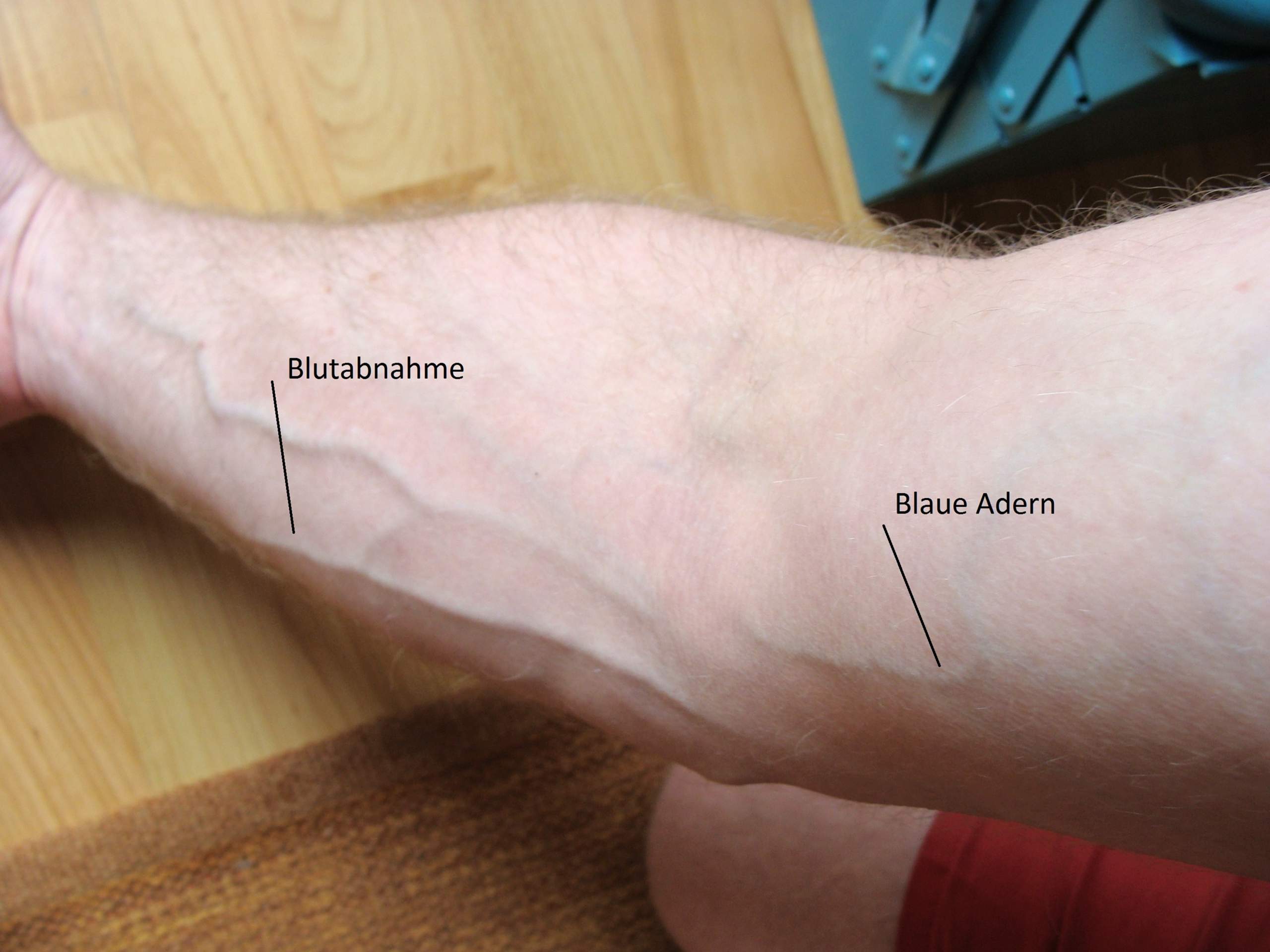 Sichtbar brust adern Adern deutlich