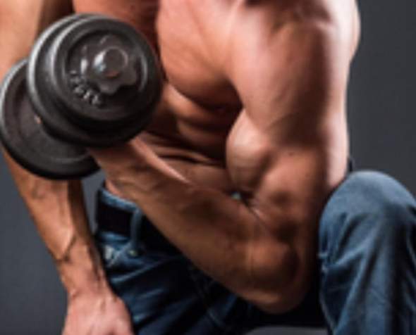 Bizeps Kugel Bekommen Zuhause Sport Sport Und Fitness Training