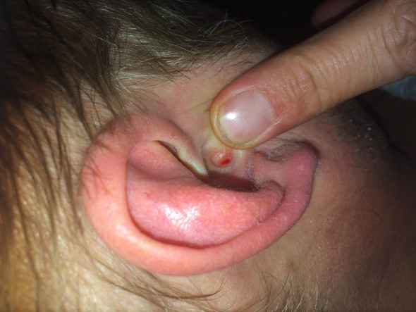 Bilder Zum Ausmalen Ohr. ausmalbild in der grundschule Bilder Zum Ausmalen Ohr. ausmalbild in der grundschule