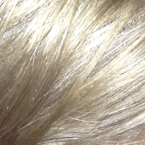 Blondierte Haare auf Mittel Blond Caramel färben mit Garnier Nutrisse 60?