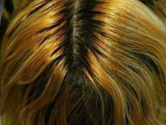 ergebnis zufrieden sein