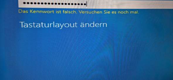 Bild zum Beitrag