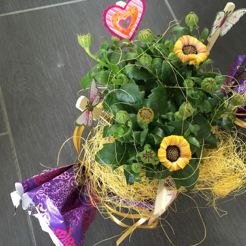 Pflanzen draußen Pflanzen draußen