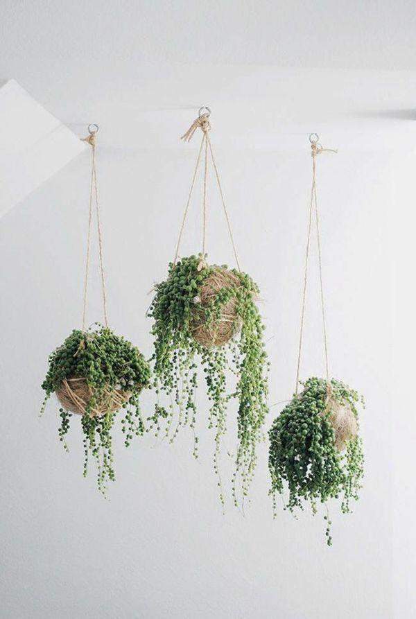 Blumentopf an Decke anbringen ohne Bohren möglich? (heimwerken, Wand, Handwerker)