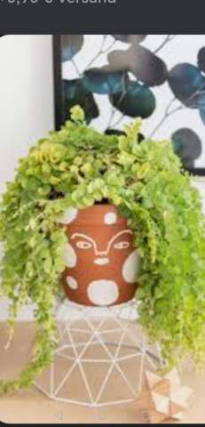 Blumentopf Gesicht bemalen und Pflanzen oben als Haare wachsen lassen. Welche Stilrichtung ist das?