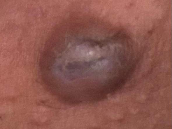 Bild zum Beitrag