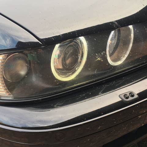 BMW e39 - xenonscheinwerfer leuchtet gelb?