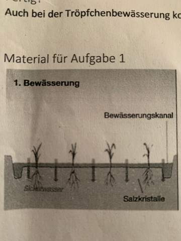 Bodenversalzung Vermeiden Gesundheit Erdkunde Geografie
