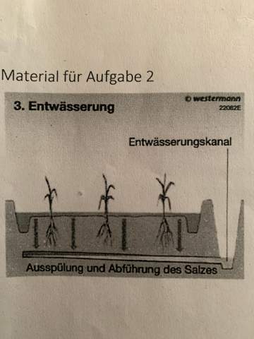 Bodenversalzung Vermeiden Gesundheit Erdkunde Geografie