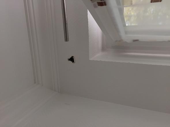 Bohrloch In Der Wand Verschliessen Handwerk Loch Putz