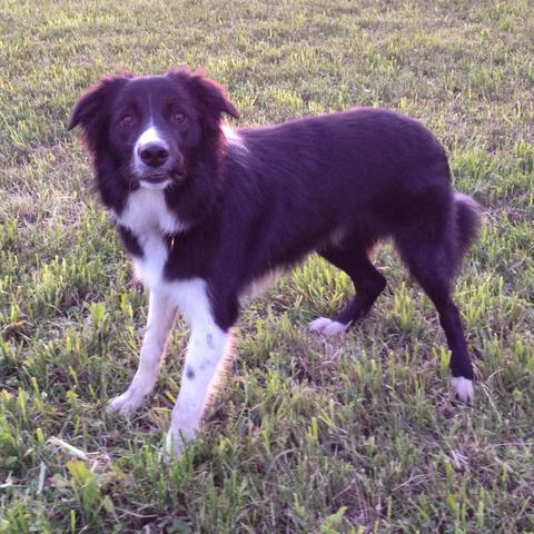 Andere motivieren Andere motivieren