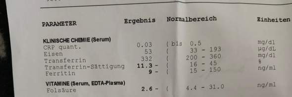 Bild zum Beitrag