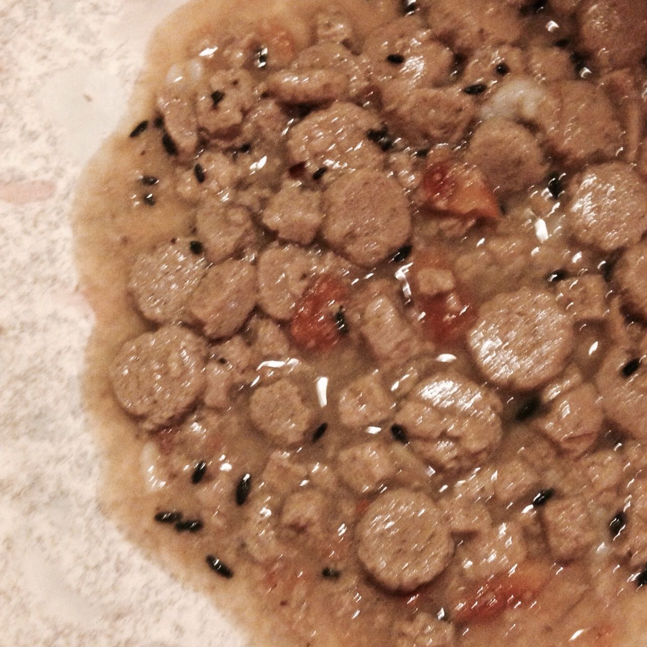 bandwurm hund bilder