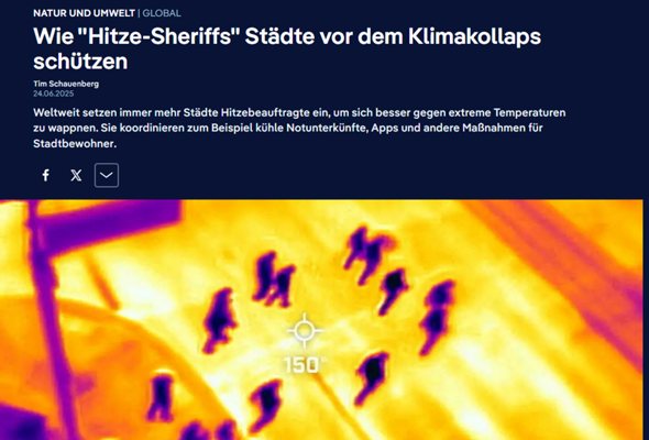 Bild zum Beitrag