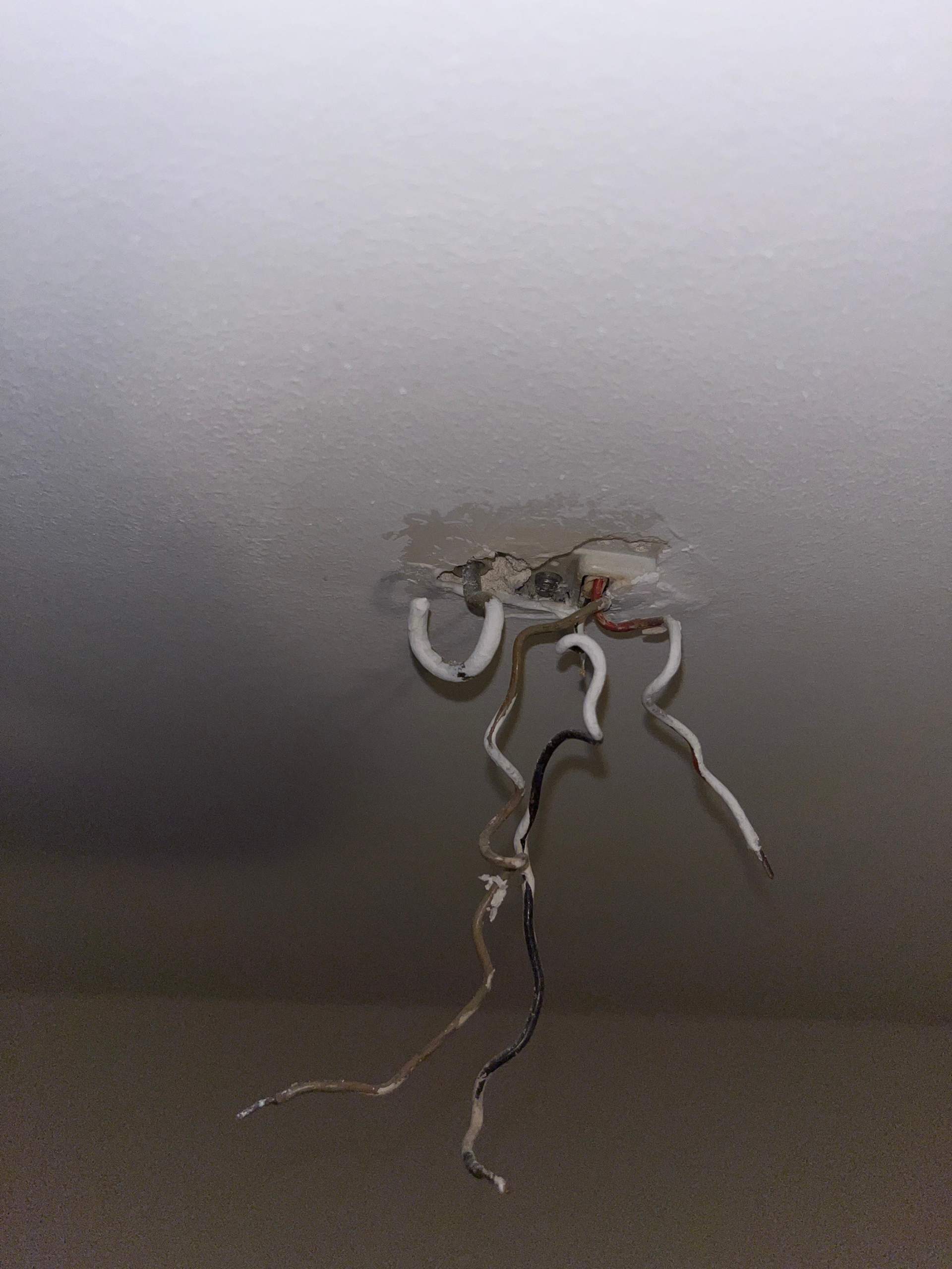 Lanter Moon Stricknadel 120cm - Drehbares Kabel Braun Ebenholz