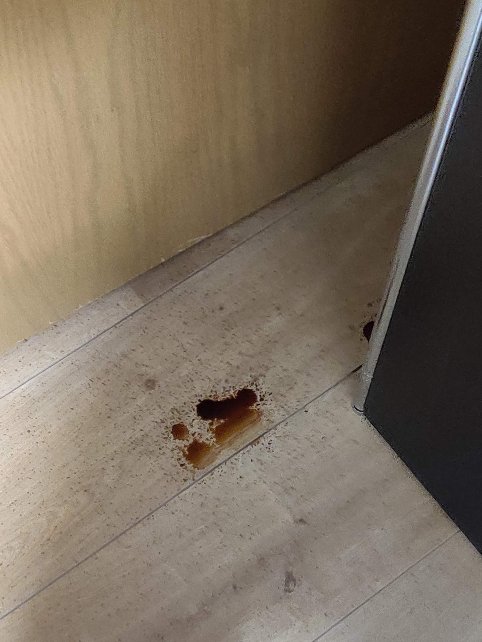 Braune dünnflüssige Flüssigkeit aus der Decke? (Wohnung, Flecken, Schimmel)