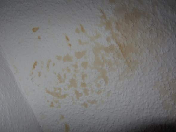 Braune Flecken an der Wand. Ist es Schimmel? (putzen, reinigen, renovieren)