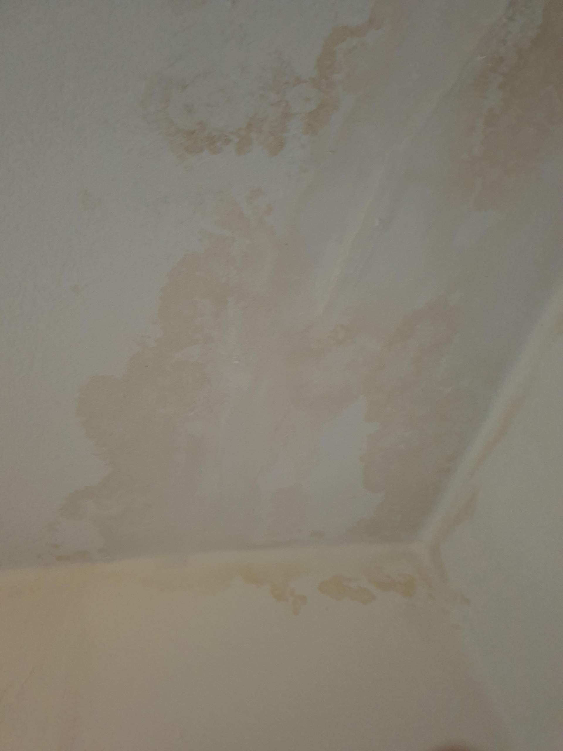 Braune Flecken an der Wand, was ist das Problem? (Gesundheit, Wandfarbe)