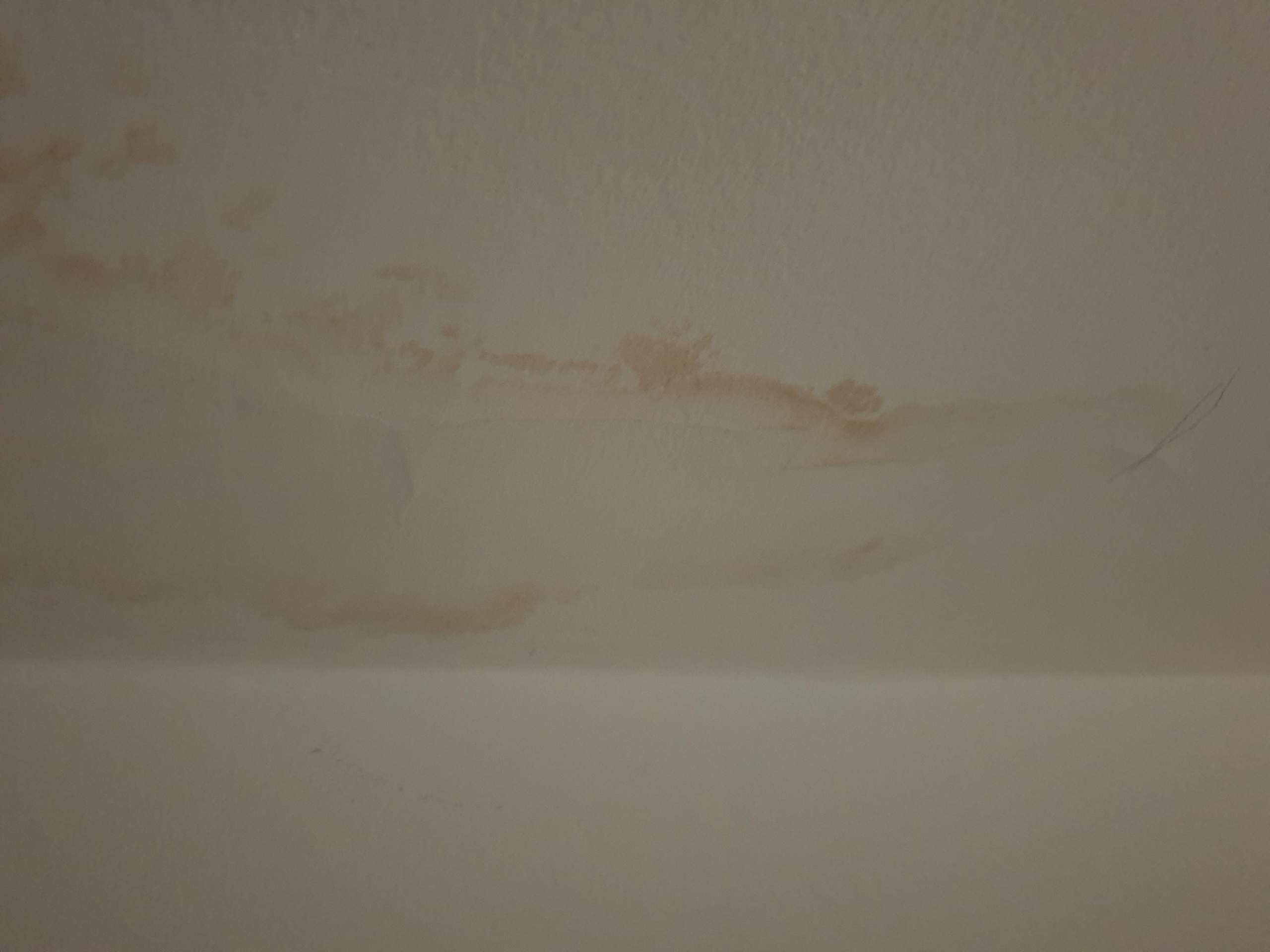 Braune Flecken an der Wand, was ist das Problem? (Gesundheit, Wandfarbe)