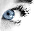 - (Haare, Augen)