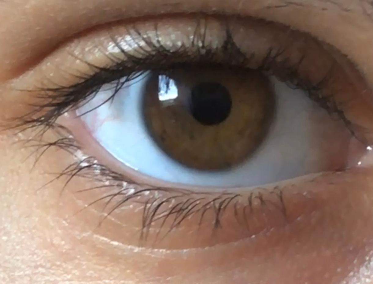 Braune oder braun-grüne Augen? (Farbe)