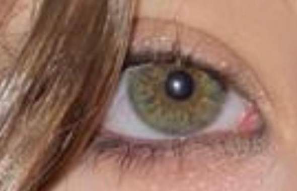 Braune oder Grüne Augen?