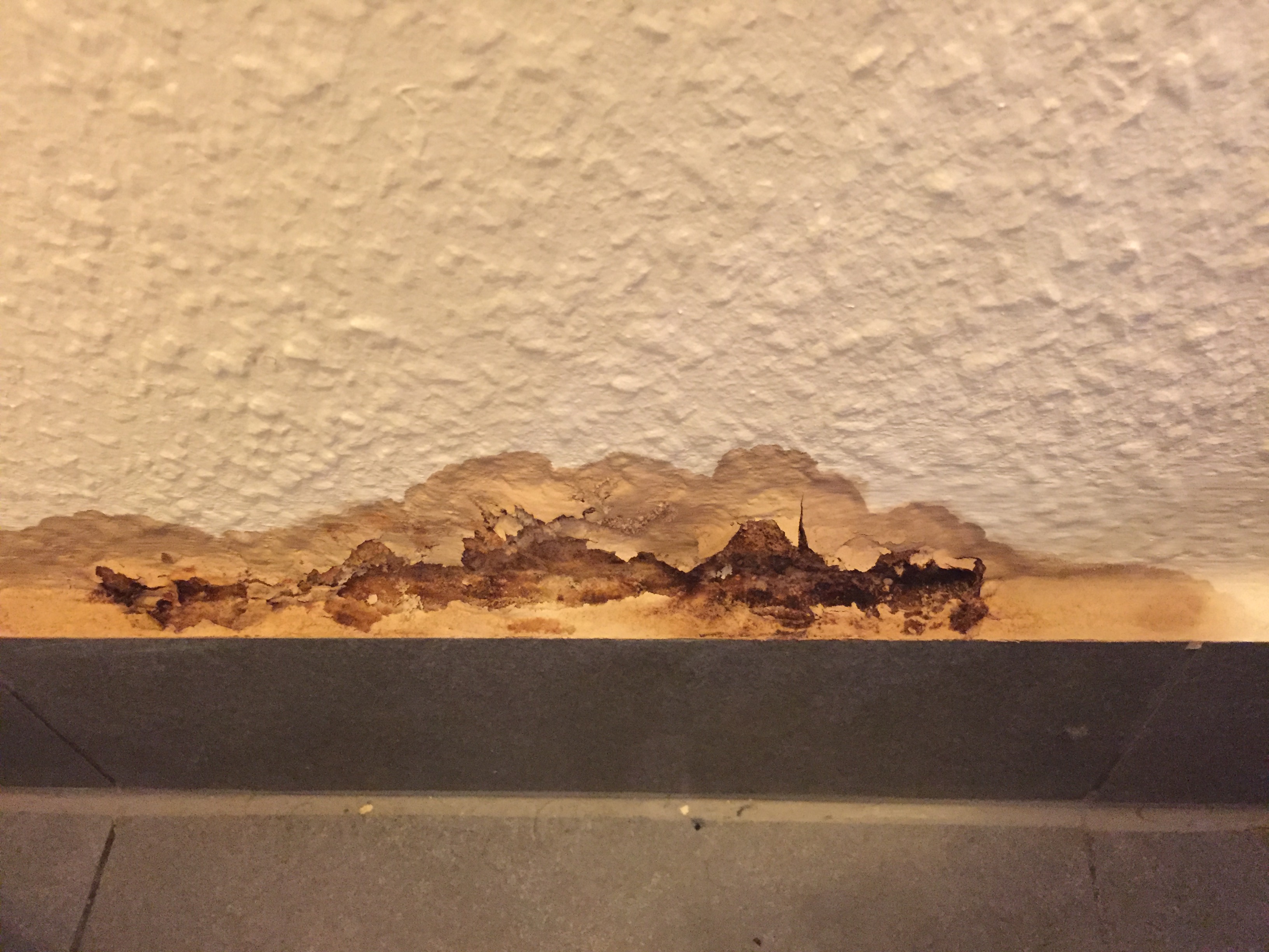 Braunee Flecken An Der Wand Im Sockelbereich Tapete Lost Sich Was Kann Das Sein Handwerk Schimmel Wasserschaden Tapete Löst Sich